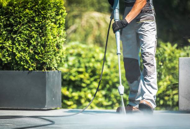 Best Driveway Pressure Washing  in Terrytown, LA